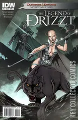 Variant Cover for Dungeons & Dragons: The Legend of Drizzt: Neverwinter Tales #3