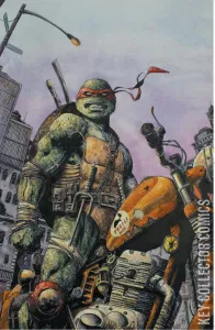 Teenage Mutant Ninja Turtles #132