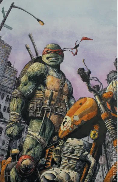 Cover art for Teenage Mutant Ninja Turtles #132 NYCC