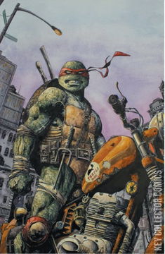 Variant Cover for Teenage Mutant Ninja Turtles #132