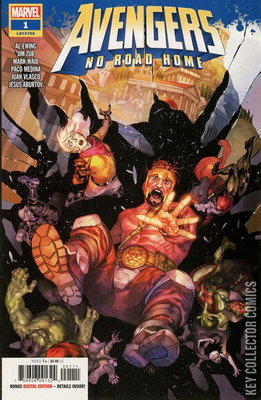 Avengers: No Road Home