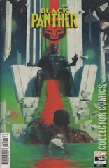 Cover for Black Panther #25