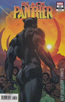 Variant Cover for Black Panther #25