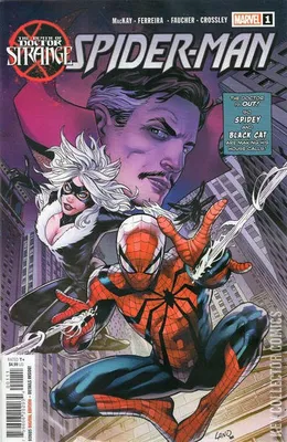 Death of Doctor Strange: Spider-Man