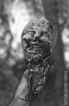 Variant Cover for Ice Cream Man #25