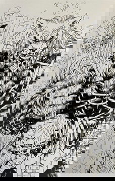 Variant Cover for Skybound X #25