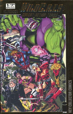 WildC.A.T.s Sourcebook