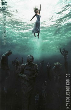 Variant Cover for Nice House on the Lake, The #2