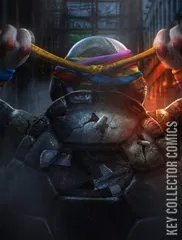 Cover for Teenage Mutant Ninja Turtles: The Last Ronin – The Lost Years #1