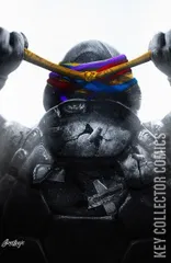 Cover for Teenage Mutant Ninja Turtles: The Last Ronin – The Lost Years #1