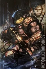 Cover for Teenage Mutant Ninja Turtles: The Last Ronin – The Lost Years #1