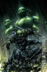 Cover for Teenage Mutant Ninja Turtles: The Last Ronin – The Lost Years #1