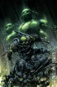 Teenage Mutant Ninja Turtles: The Last Ronin – The Lost Years #1