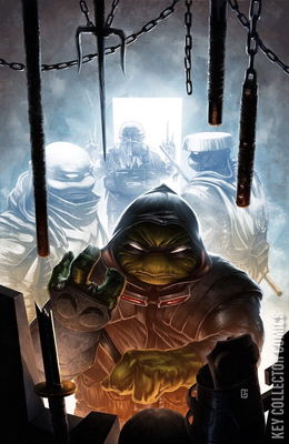 Teenage Mutant Ninja Turtles: The Last Ronin – The Lost Years