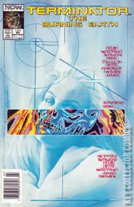 Terminator: The Burning Earth #1