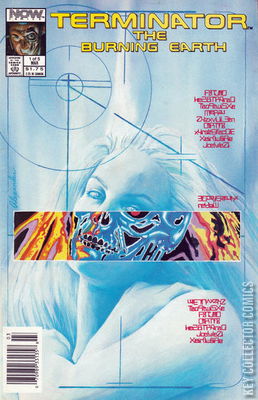 Terminator: The Burning Earth