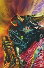 Variant Cover for The Green Hornet #6
