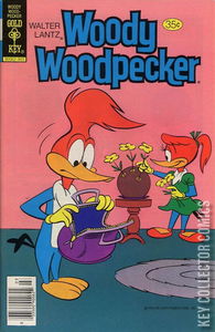 Woody Woodpecker #176