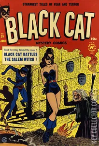 Black Cat Comics #29