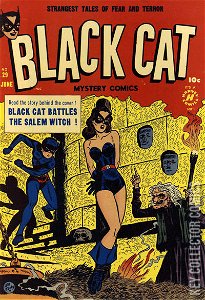 Black Cat Comics #29