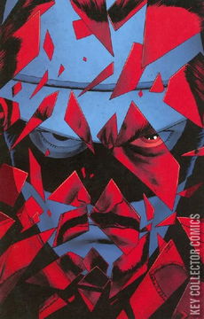 Variant Cover for The Lone Ranger #8