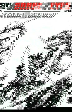 Variant Cover for Snake Eyes and Storm Shadow #13