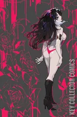 Variant Cover for Vampirella #25