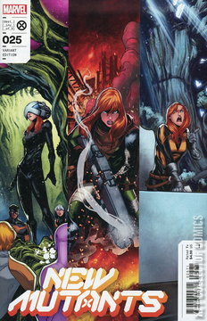 Variant Cover for New Mutants #25