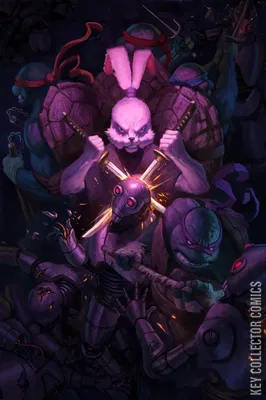 Teenage Mutant Ninja Turtles / Usagi Yojimbo: WhereWhen