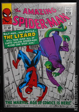 Variant Cover for Amazing Spider-Man #6