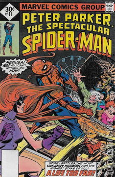 Variant Cover for Peter Parker: The Spectacular Spider-Man #11