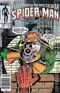 Peter Parker: The Spectacular Spider-Man #104