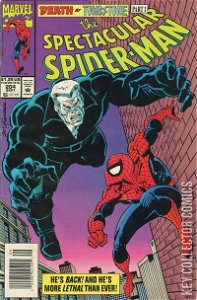 Peter Parker: The Spectacular Spider-Man #204