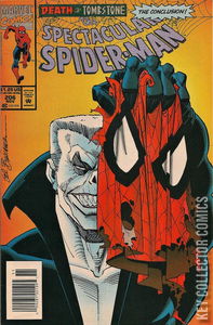 Peter Parker: The Spectacular Spider-Man #206 