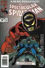 Cover for Peter Parker: The Spectacular Spider-Man #208