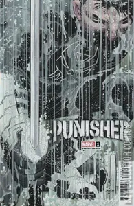 Punisher #1