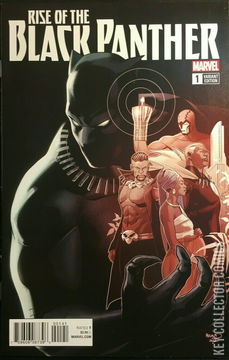 Variant Cover for Rise of the Black Panther #1