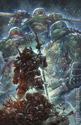 Teenage Mutant Ninja Turtles: The Last Ronin – The Lost Years