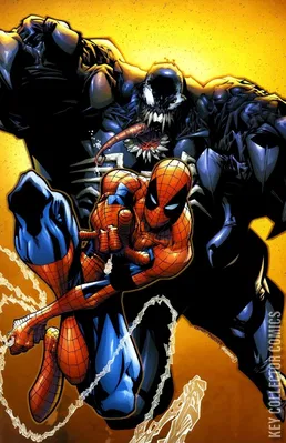 Spectacular Spider-Man, The