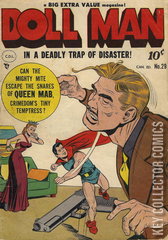 Variant Cover for Doll Man #29