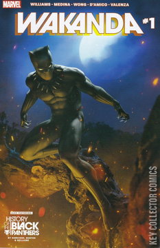Variant Cover for Wakanda #1