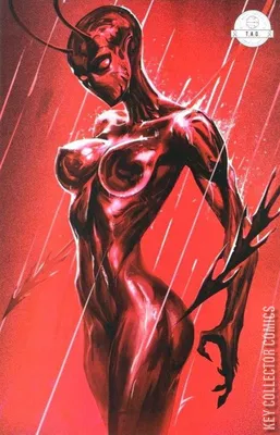 Ant
