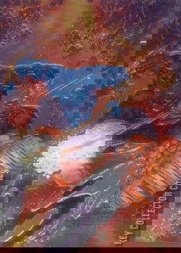 Variant Cover for Zen Intergalactic Ninja Color #1