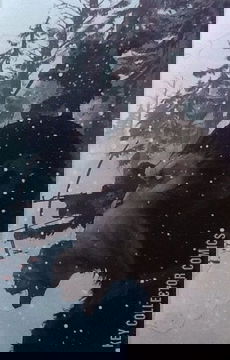 Variant Cover for War for the Planet of the Apes #1