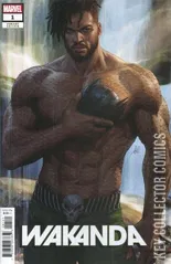 Variant Cover for Wakanda #1