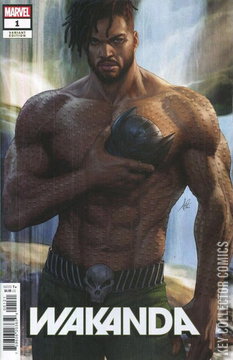 Variant Cover for Wakanda #1
