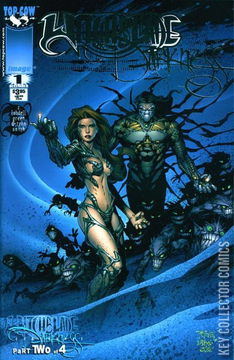 Variant Cover for Witchblade / The Darkness #1