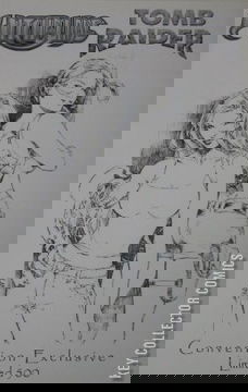 Variant Cover for Witchblade and Tomb Raider #1