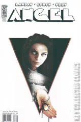 Cover for Angel: After the Fall #25