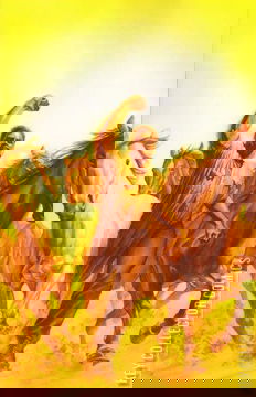 Variant Cover for The Bionic Man #11